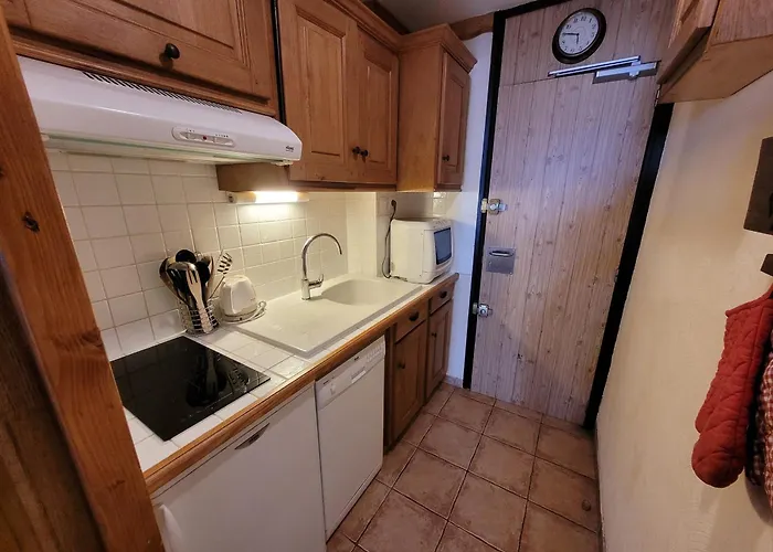 Jolie Etage Eleve Aux Pieds Vue Pistes - Fr-1-181-2859 Apartment La Plagne